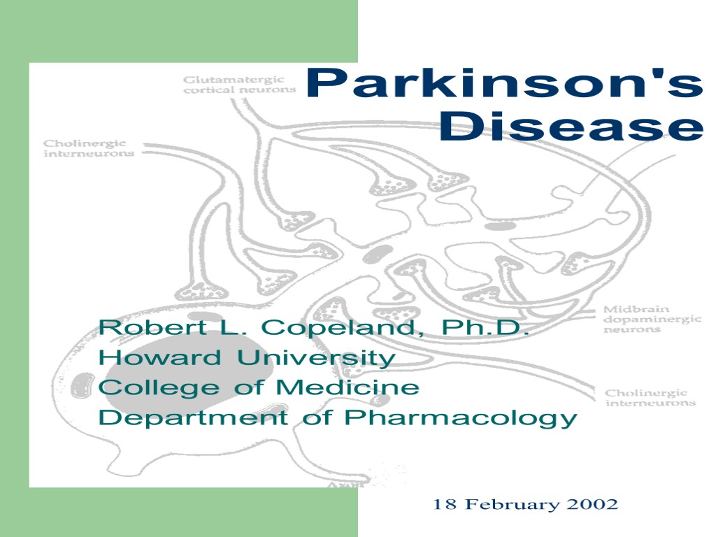 Parkinson's Disease Robert L. Copeland, Ph.D. Howard University College of Medicine Department of Pharmacology